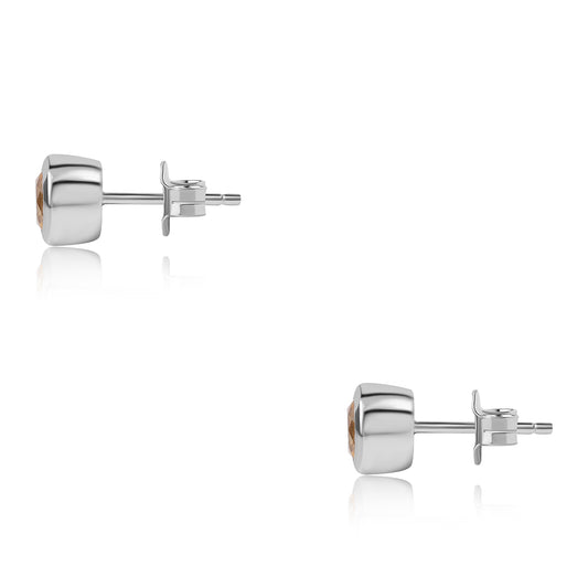 HopeaKorvakorut AA Brasilian SitriinillÀ