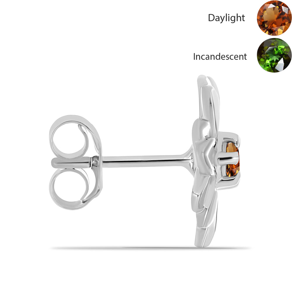 HopeaKorvakorut Sertifioitu laboratoriossa kasvatettu Anatolian zultaniitti