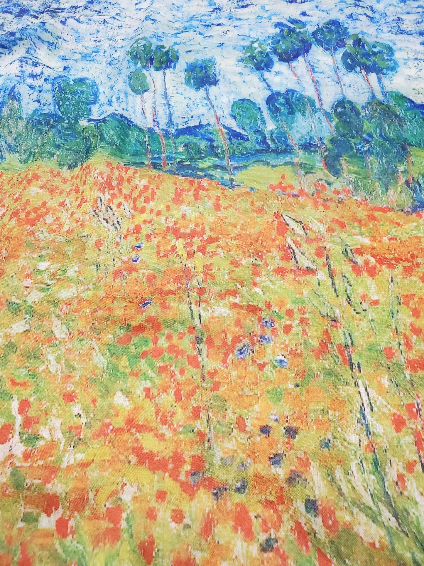 Puuvillahuivi/-saali, 70 cm x 180 cm, Monet - Unikot